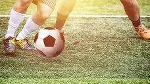 乐玩体育官网 产品 132612 nlf