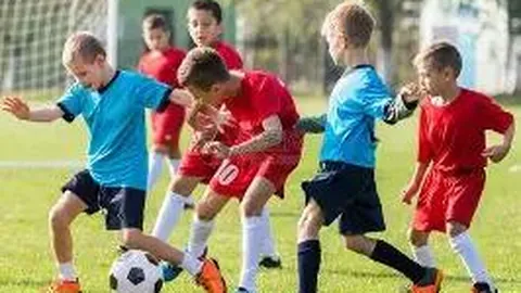 乐玩体育官网 资讯 133803 9ub