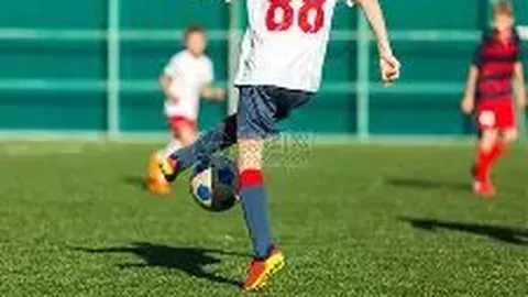 乐玩体育官网 资讯 133819 orp