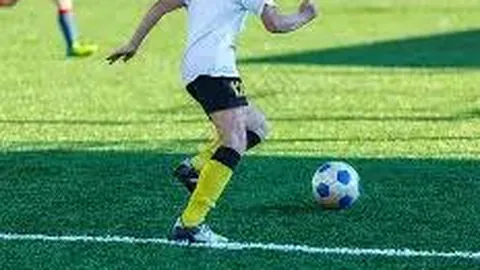 双乐股份前募投效益未达标，可转债项目开工进度缓慢不足半数