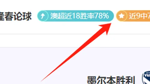 勒沃库森点球绝杀，柏林联合不幸小负德甲
